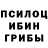 Псилоцибиновые грибы мухоморы Jakub Galusza